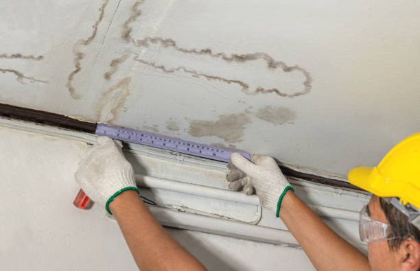 Affordable Ceiling Water Damage Repair solutions in Oak Grove, LA